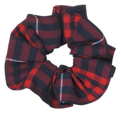 Picture of FBE7 Scrunchie