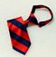 Picture of FBE228 - Pre-tied Stripe tie