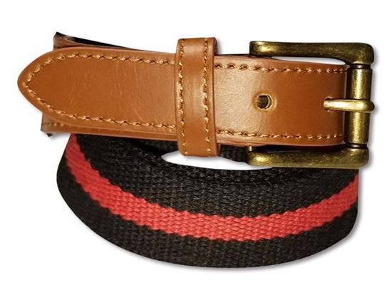 Picture of FBE235 -1 1/4" Cotton Web striped belt